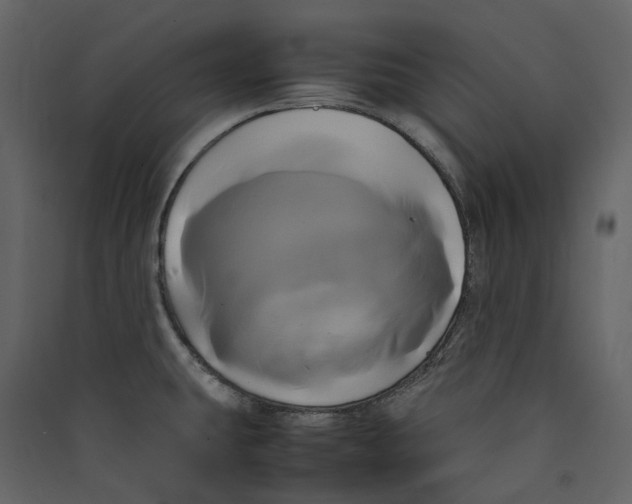 X0000089411431200707131751