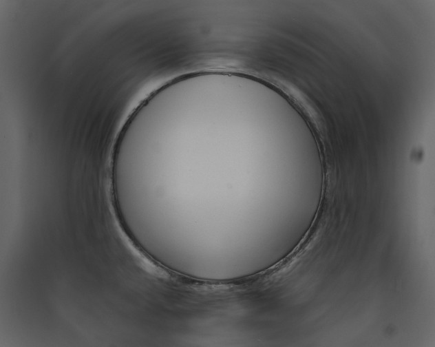 X0000089411432200707131751