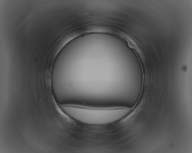 X0000089411433200707131751