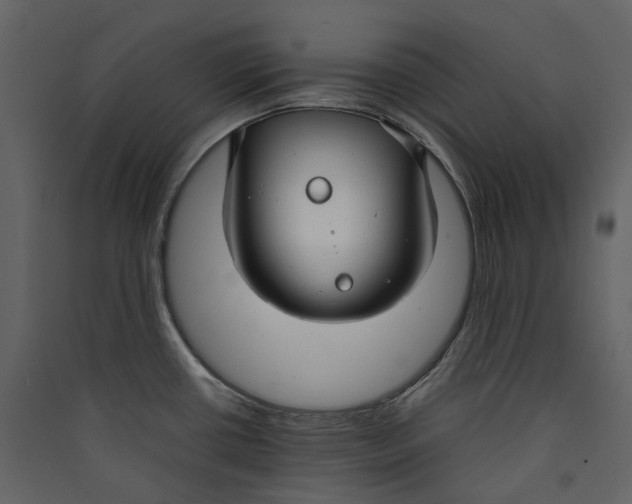 X0000089411434200707131751