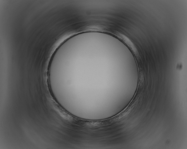 X0000089411435200707131751
