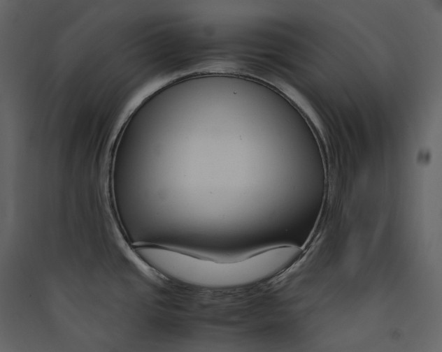 X0000089411437200707131751