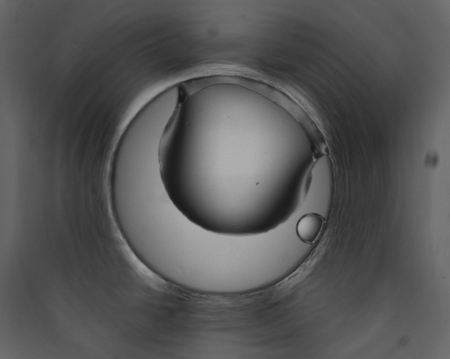 X0000089411438200707131751