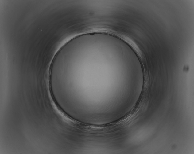 X0000089411439200707131751