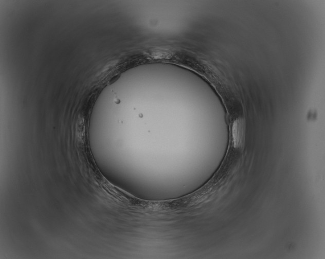 X0000089411443200707131751