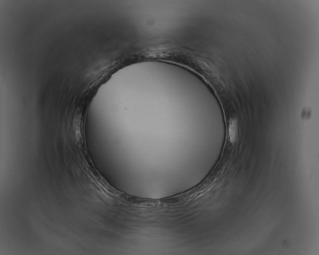 X0000089411444200707131751