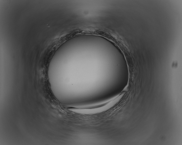 X0000089411445200707131751