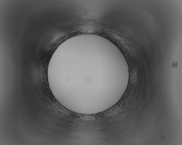 X0000089411446200707131751