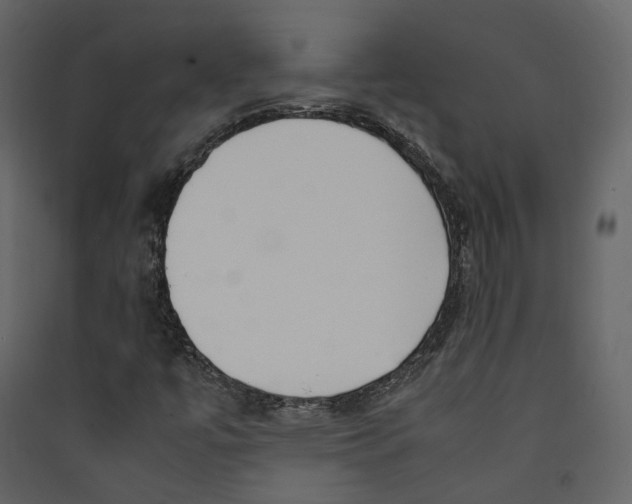 X0000089411447200707131751