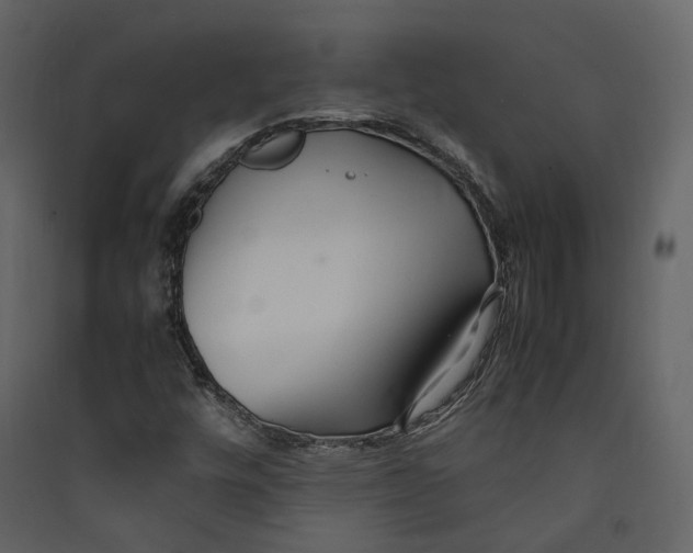X0000089411448200707131751