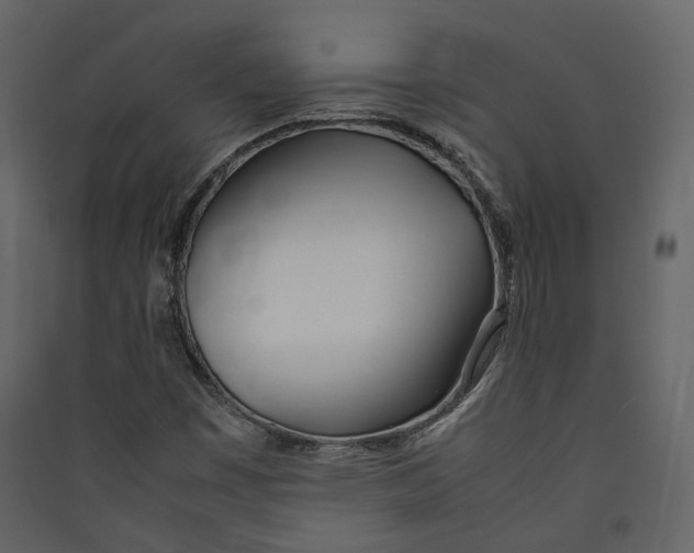 X0000089411449200707131751