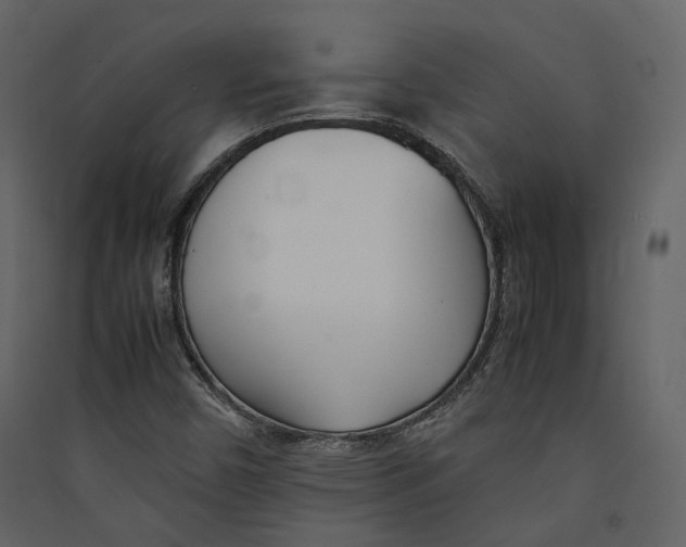 X0000089411450200707131751