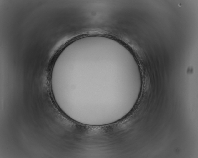 X0000089411454200707131751