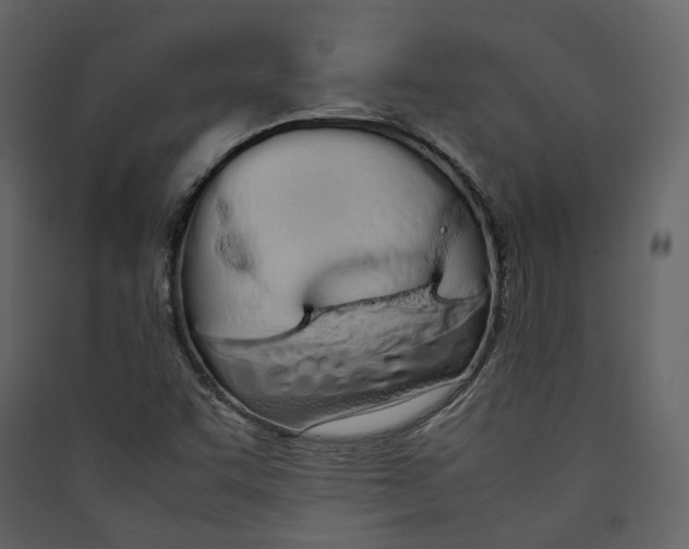 X0000089411455200707131751