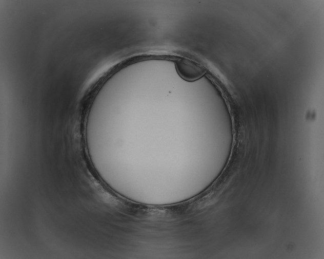 X0000089411456200707131750