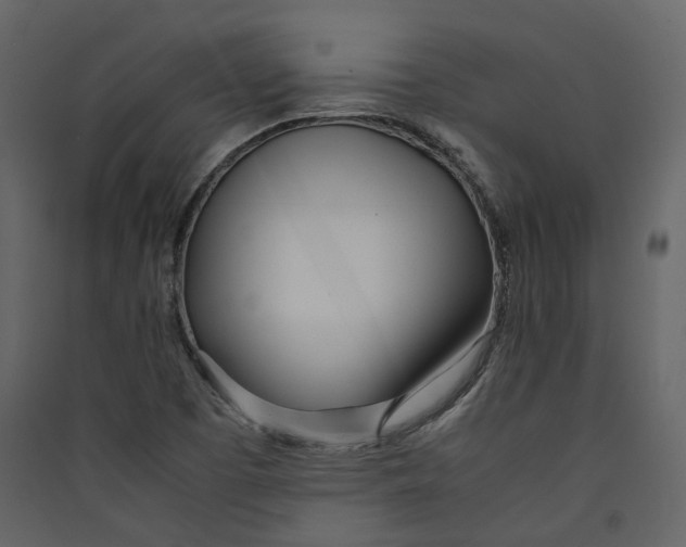 X0000089411457200707131750