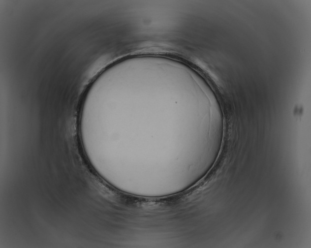 X0000089411459200707131750