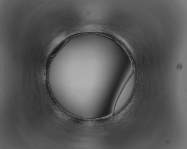 X0000089411461200707131750