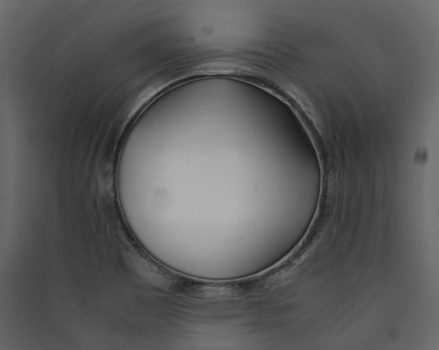 X0000089411465200707131750