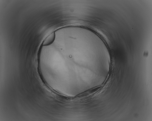 X0000089411467200707131750