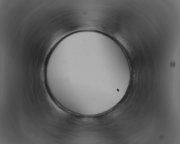 X0000089411468200707131750