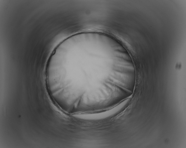 X0000089411471200707131750