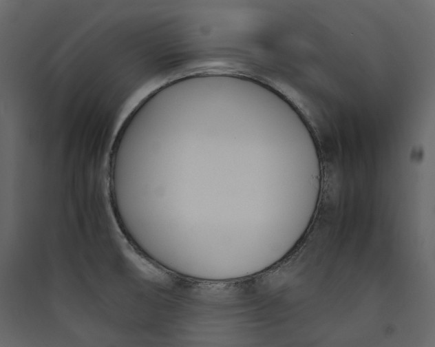 X0000089411474200707131750