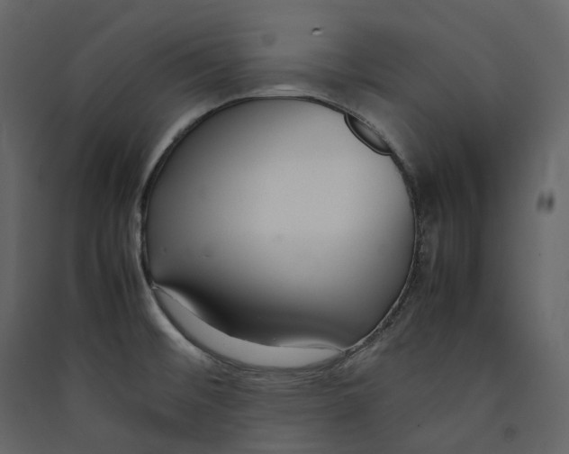 X0000089411476200707131750