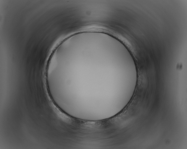 X0000089411478200707131750