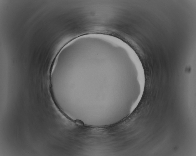 X0000089411479200707131750
