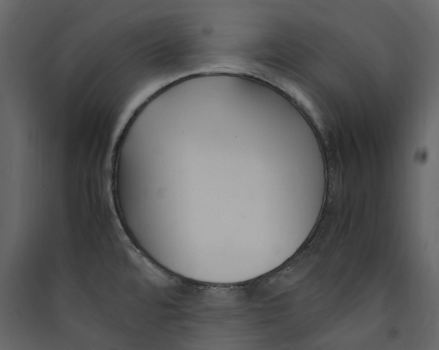 X0000089411480200707131750