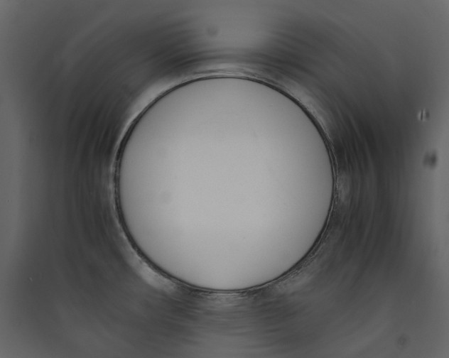 X0000089411482200707131750