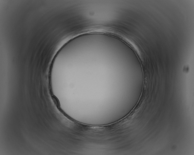 X0000089411483200707131750