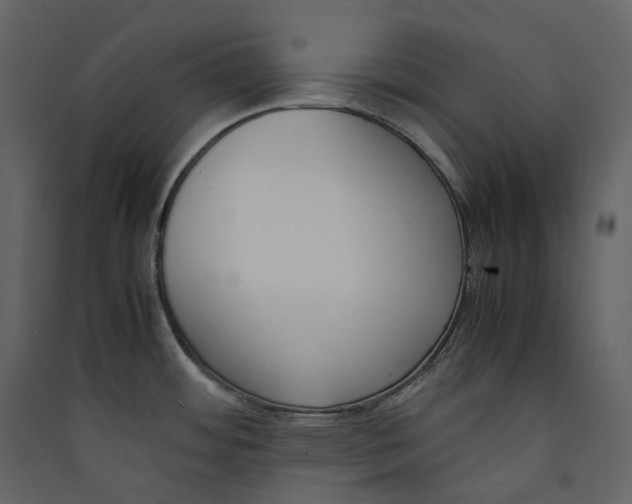 X0000089411484200707131750