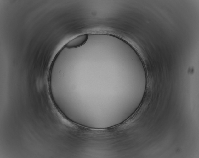 X0000089411486200707131750