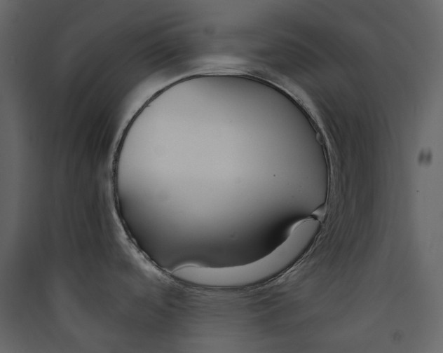 X0000089411488200707131750