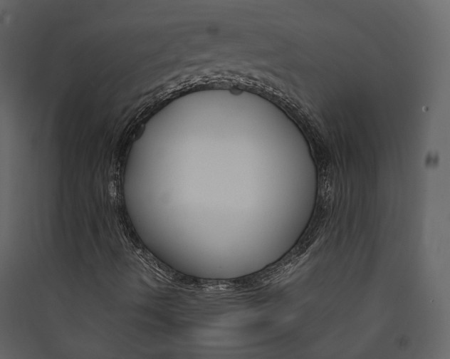 X0000089411490200707131750