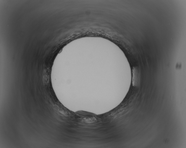 X0000089411491200707131750