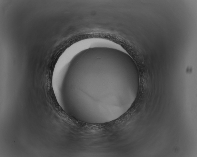 X0000089411493200707131750