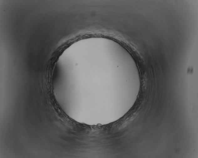 X0000089411494200707131750