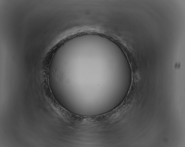 X0000089411496200707131750