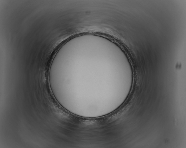 X0000089411497200707131750
