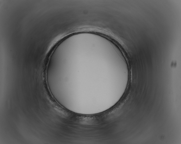 X0000089411501200707131750
