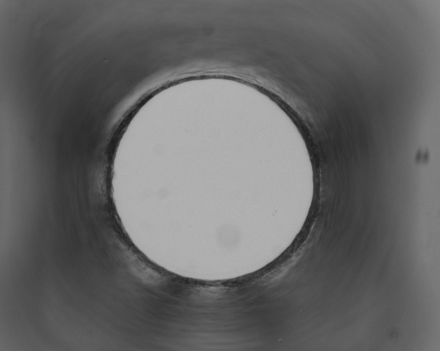 X0000089411502200707131750