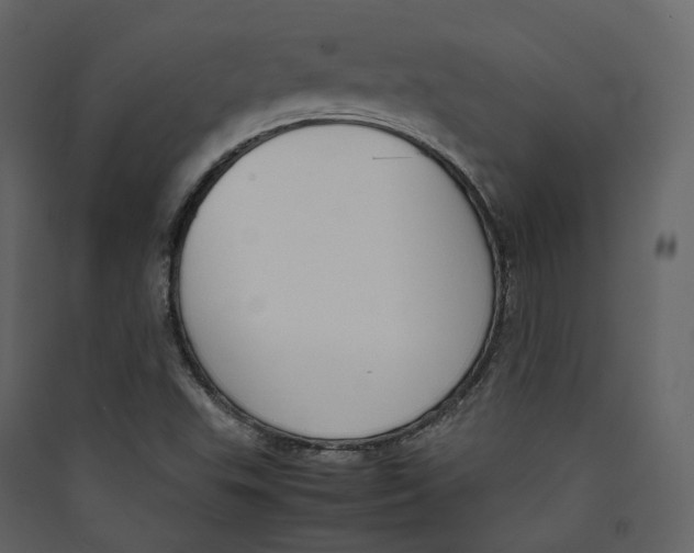 X0000089411503200707131750