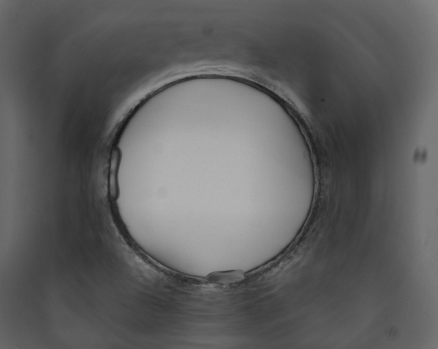 X0000089411504200707131750