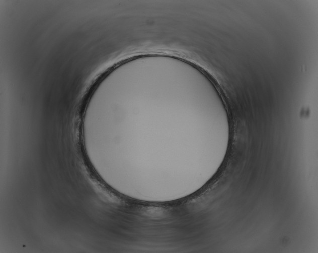 X0000089411507200707131750