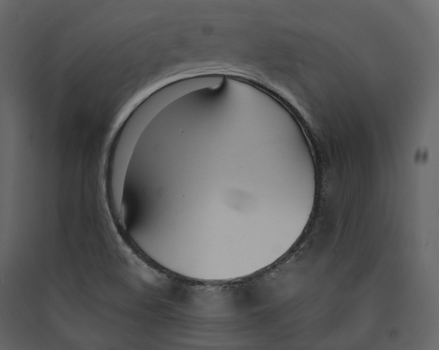 X0000089411508200707131750