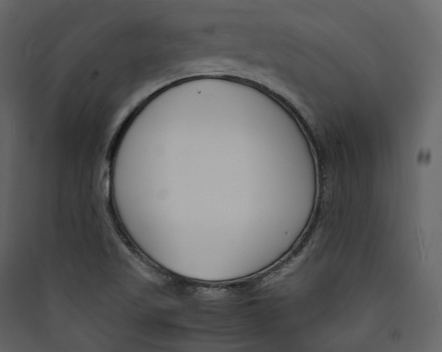 X0000089411509200707131750