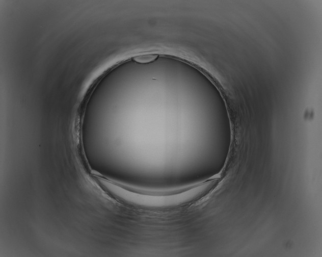 X0000089411510200707131750